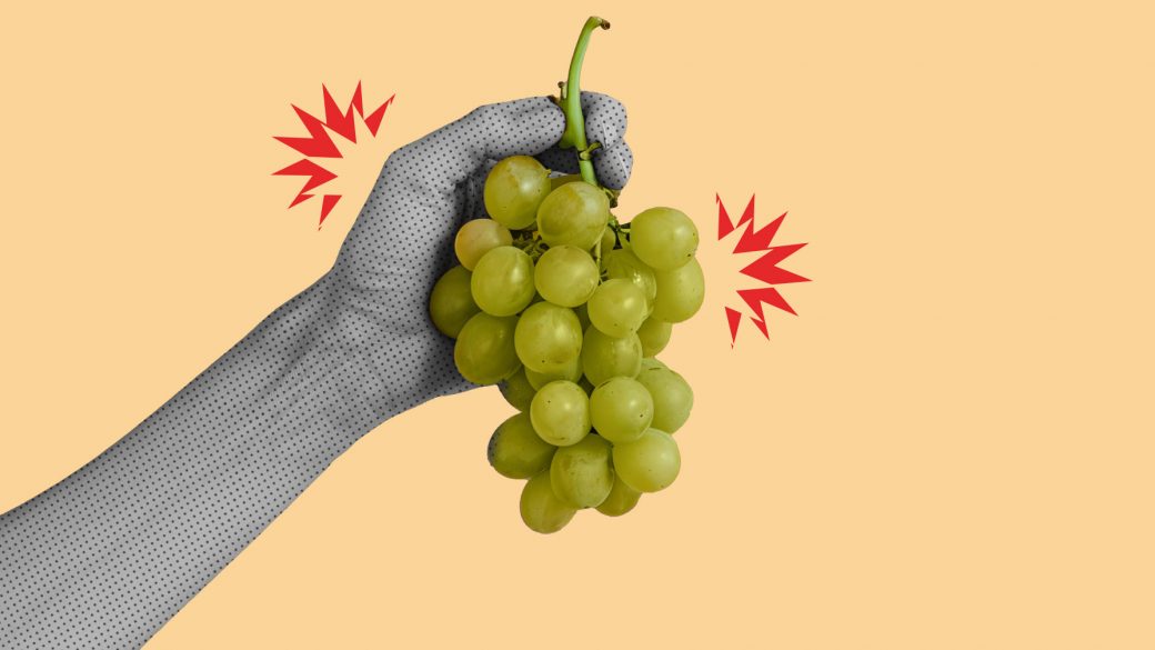 Sour Grapes: The Impact of Fruit Marketing on The Novelty Requirement of Plant Variety Patents